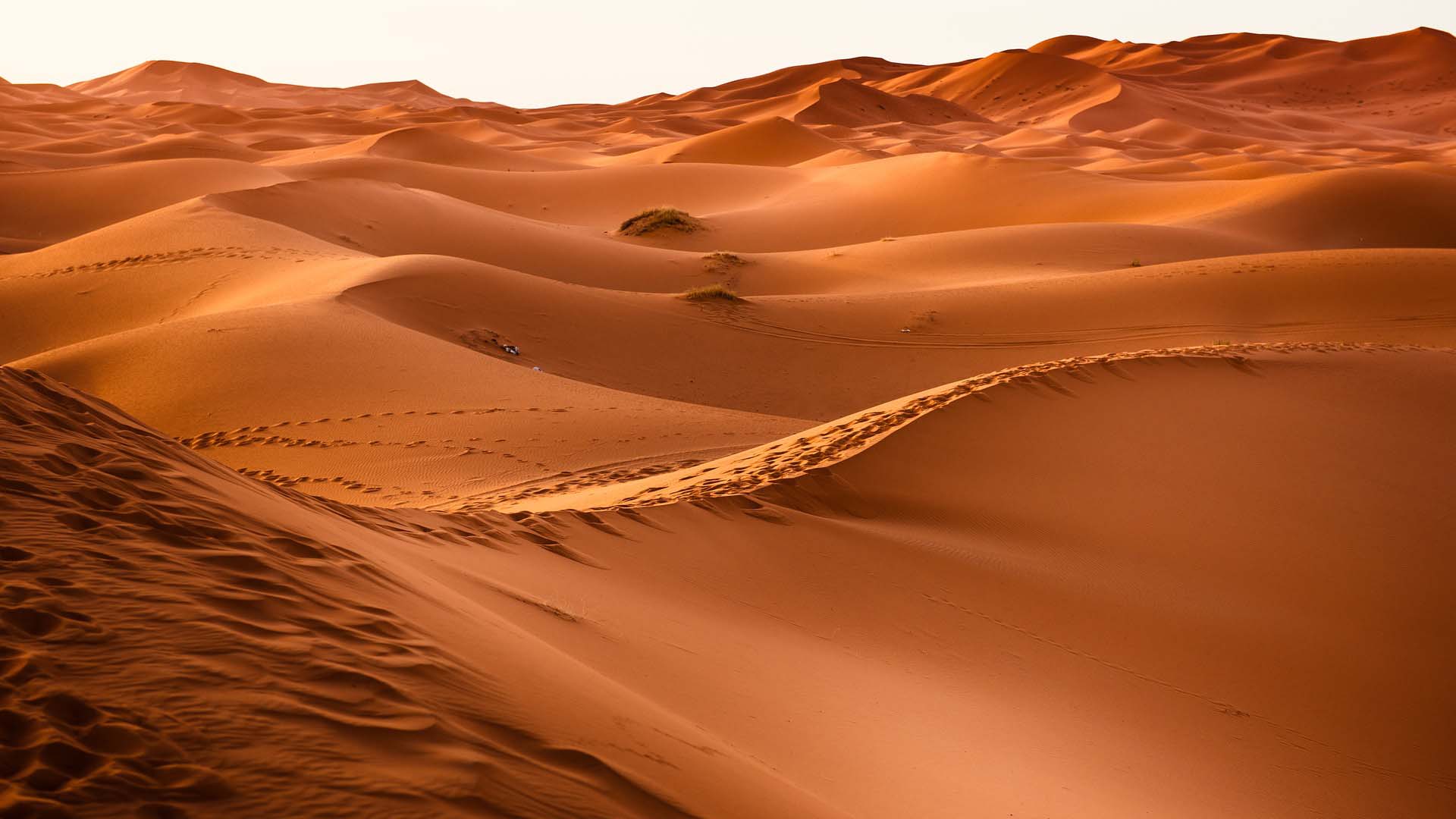 desert.jpg